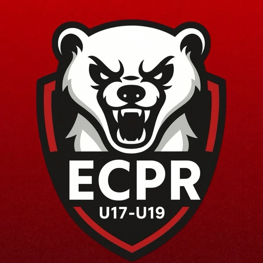 Logo ECPR
